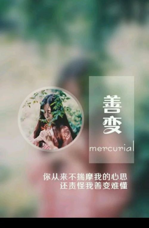 你从来不揣摩我的心思，还责怪善变难懂