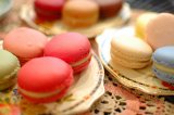 Macarons 少女的酥胸