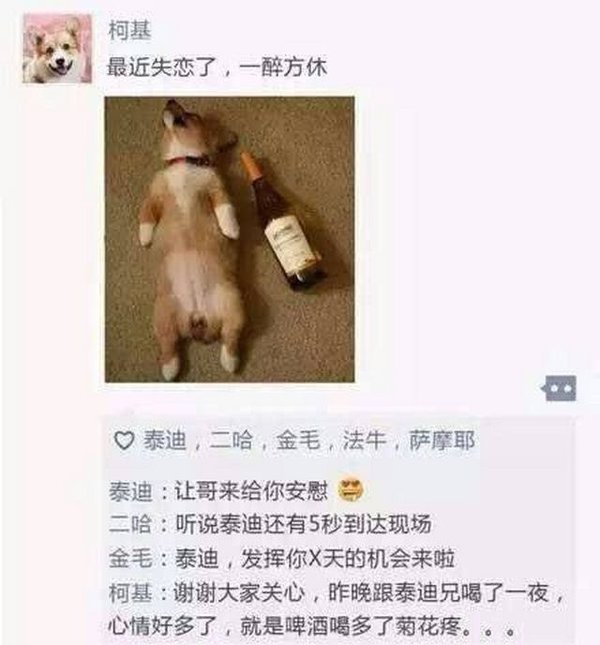 唯美图片，文字图片,情侣图片qqqqp