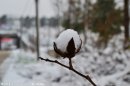 美丽的雪景 是你的大爱吗