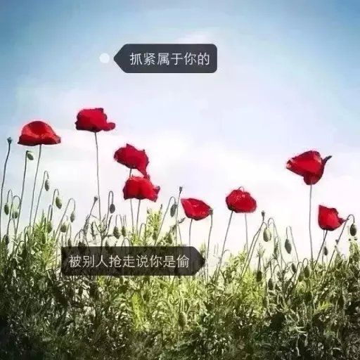 唯美图片，文字图片,情侣图片qqqqp