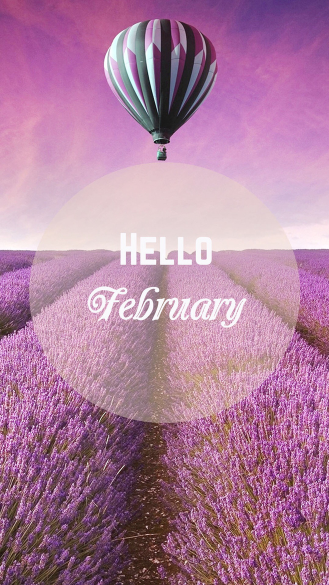 hello february 遇见最初的美好