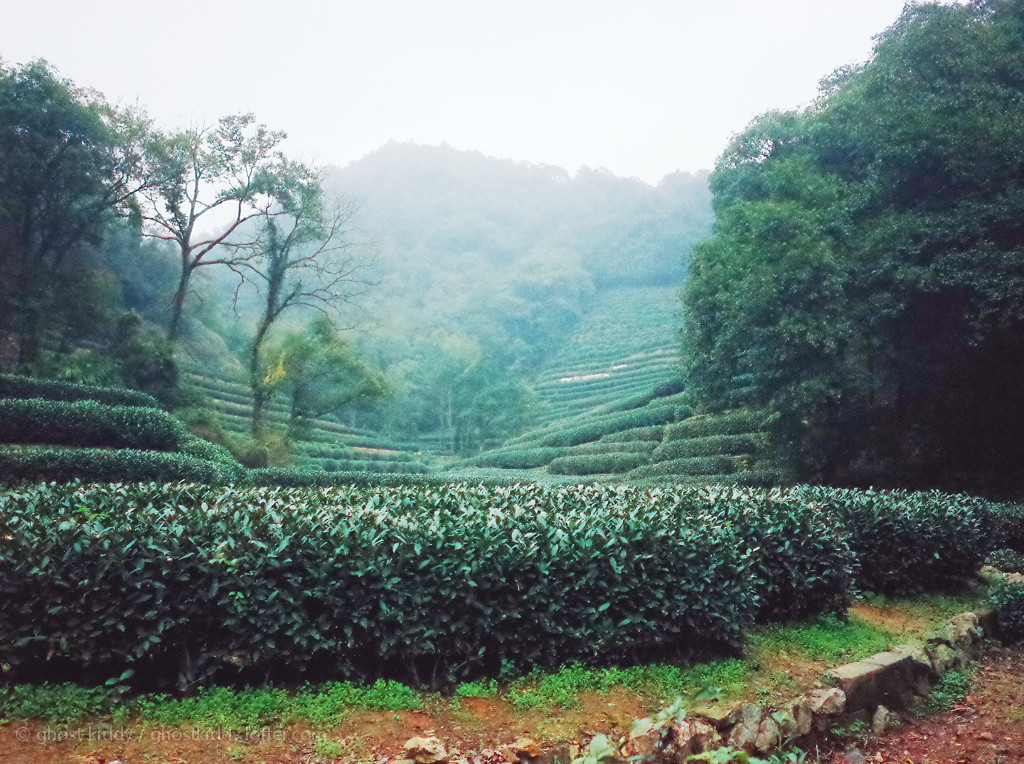 唯美风景图片大全