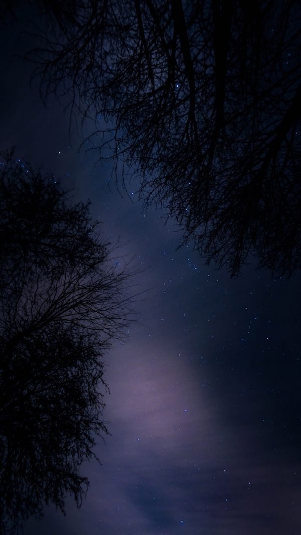 这是个寂静的夜晚