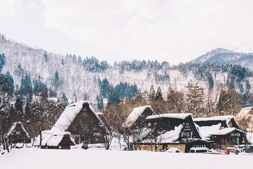 陪你一起看雪，好吗？