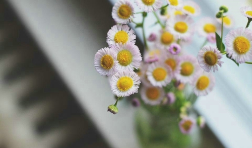 花都想开了 我还没想开