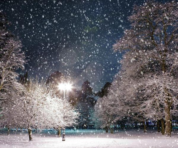 我在等待一场雪