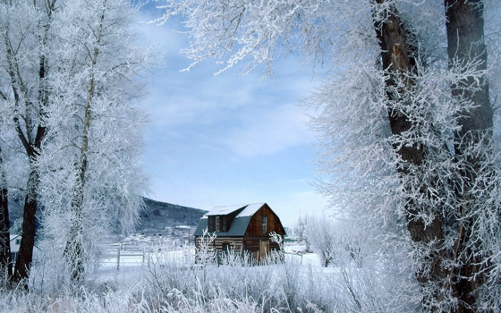 唯美意境的冬日雪景图片