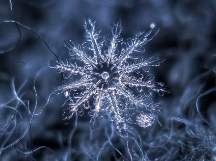 美美的雪花，让人怎能不爱