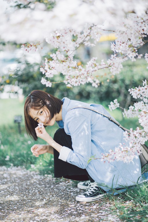 樱花与美女的小清新图片