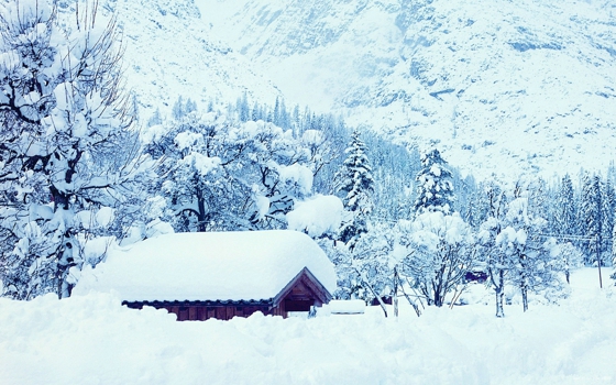 冬季唯美的雪景