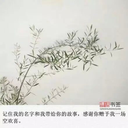 唯美图片，文字图片,情侣图片qqqqp