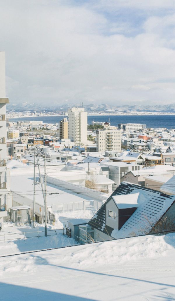 北海道唯美雪景