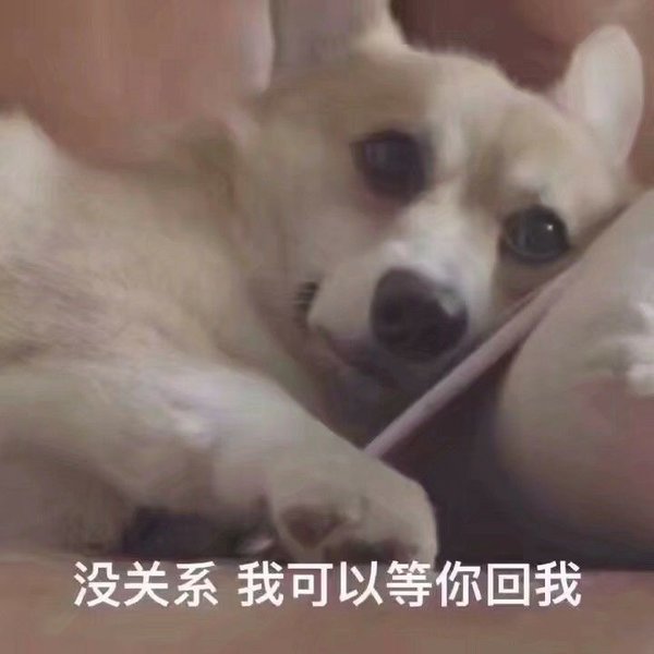 小哥哥，怎么还不回我消息