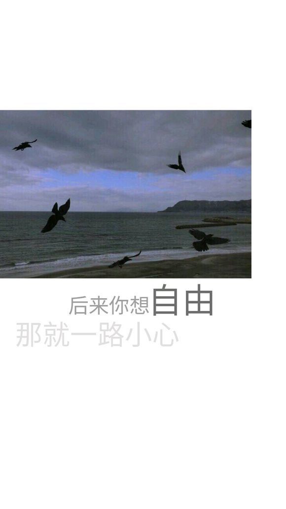 迷惑众生； 却不爱任何人.