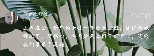 唯美图片，文字图片,情侣图片qqqqp