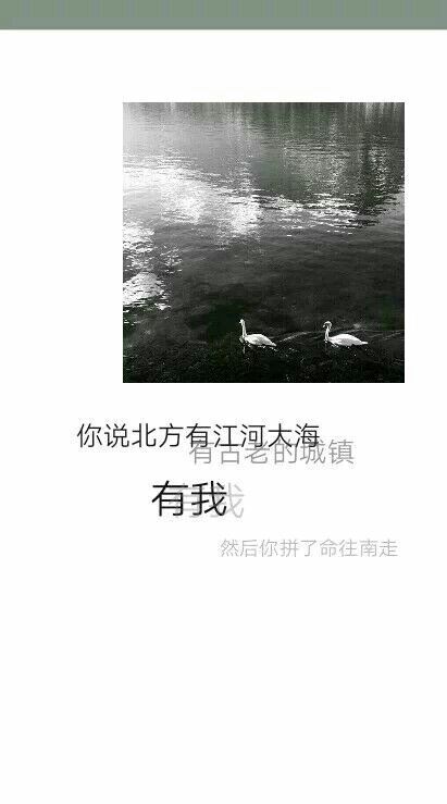 唯美图片，文字图片,情侣图片qqqqp