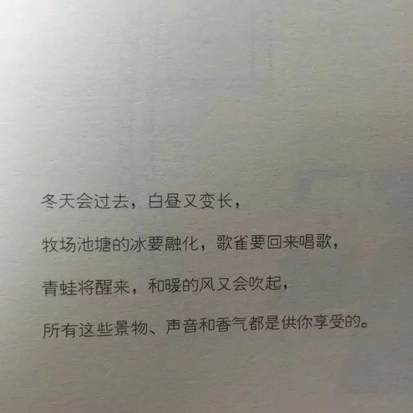 唯美图片，文字图片,情侣图片qqqqp