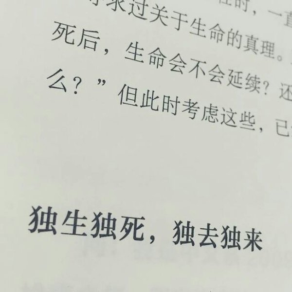 大概是你不孤单，所以我给的陪伴也并不起眼