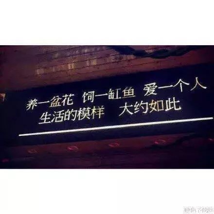 唯美图片，文字图片,情侣图片qqqqp