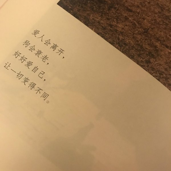 酷一点 优秀一点 与世无争一点.