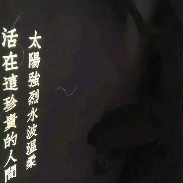 唯美图片，文字图片,情侣图片qqqqp