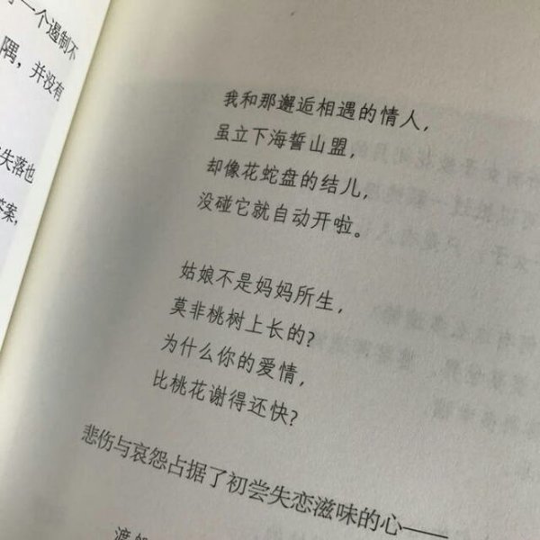 唯美图片，文字图片,情侣图片qqqqp