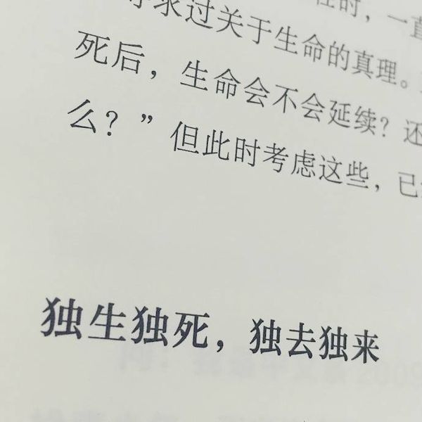 愿你一世潇洒无牵挂