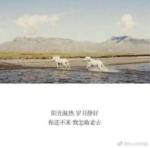 唯美图片，文字图片,情侣图片qqqqp