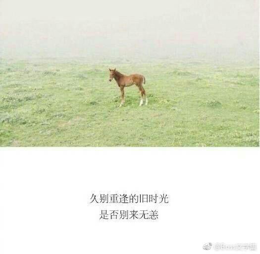 可能善妒的人还是拥有太少.