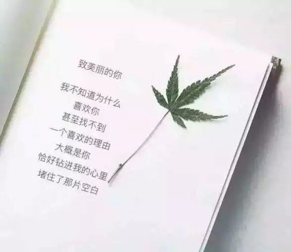 唯美图片，文字图片,情侣图片qqqqp