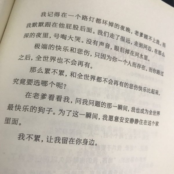 唯美图片，文字图片,情侣图片qqqqp