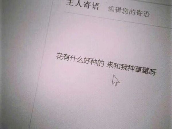 唯美图片，文字图片,情侣图片qqqqp