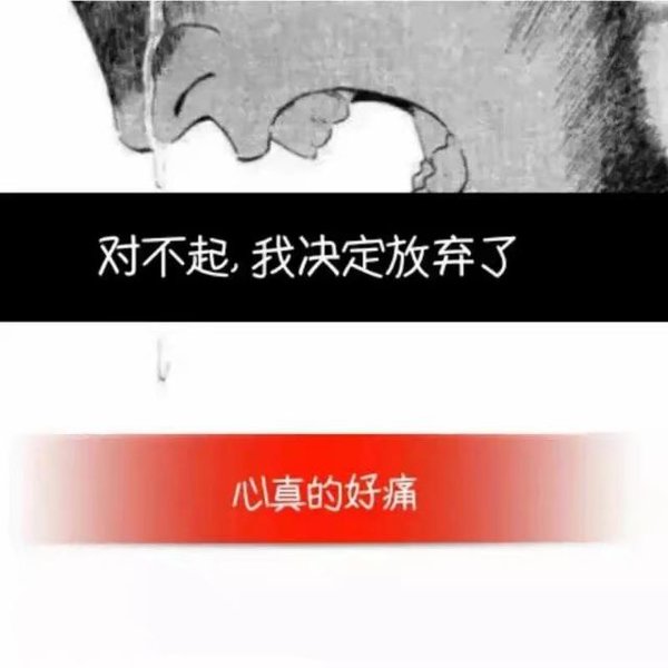 对不起，我真的决定放弃了