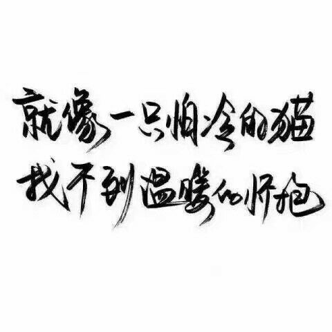 唯美图片，文字图片,情侣图片qqqqp