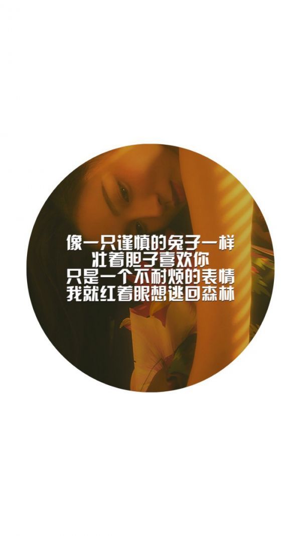 唯美图片，文字图片,情侣图片qqqqp