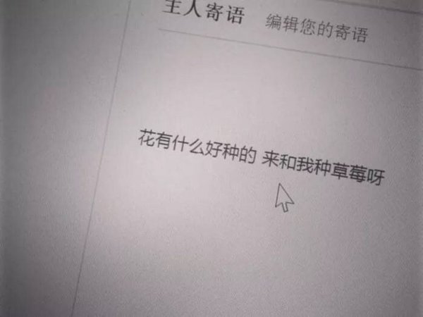 唯美图片，文字图片,情侣图片qqqqp