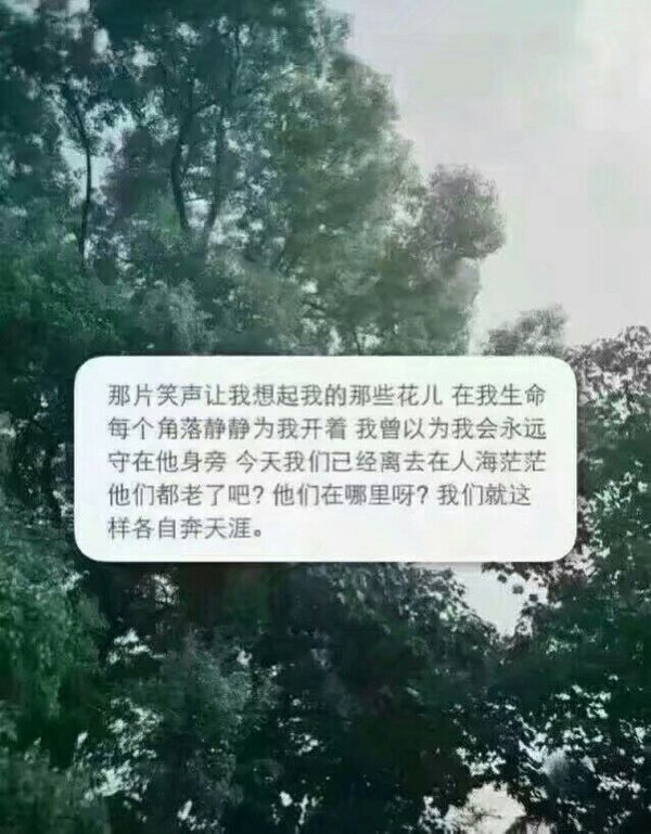 唯美图片，文字图片,情侣图片qqqqp