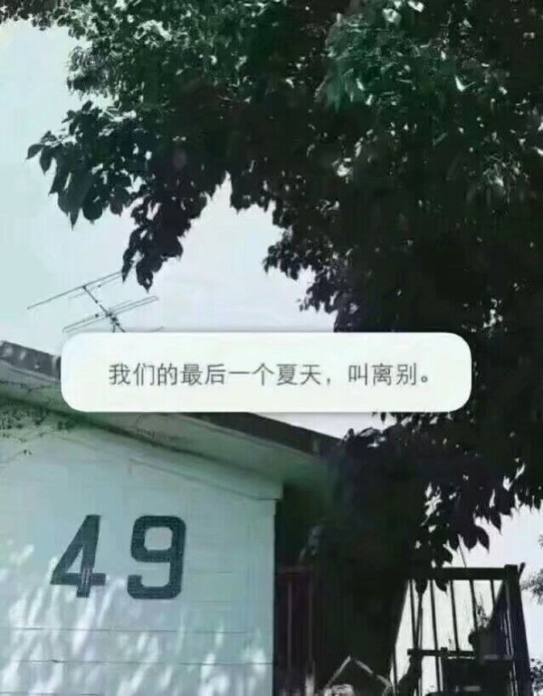 唯美图片，文字图片,情侣图片qqqqp