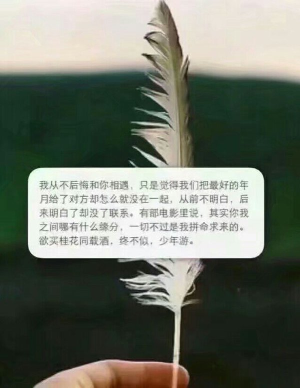 唯美图片，文字图片,情侣图片qqqqp