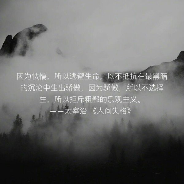 唯美图片，文字图片,情侣图片qqqqp