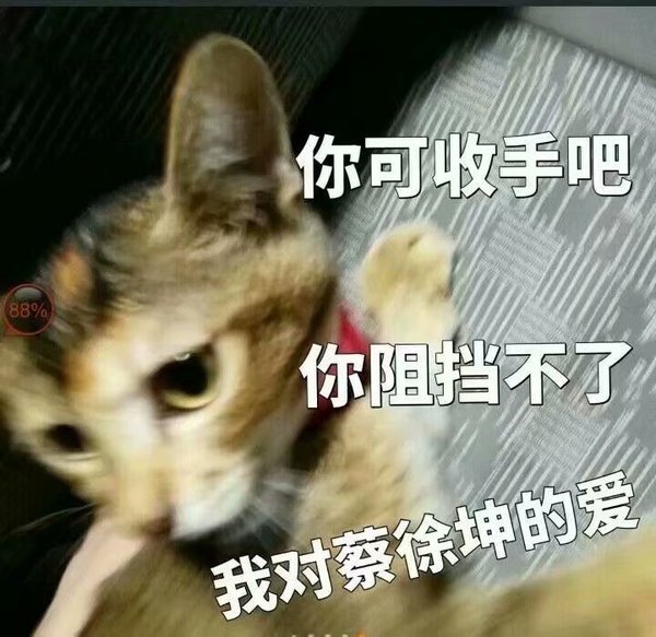 蔡徐坤 我的爱