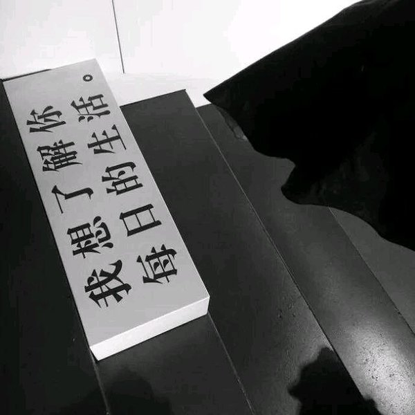 唯美图片，文字图片,情侣图片qqqqp