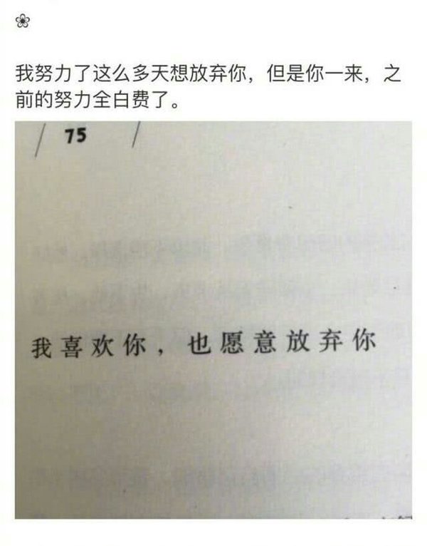 唯美图片，文字图片,情侣图片qqqqp