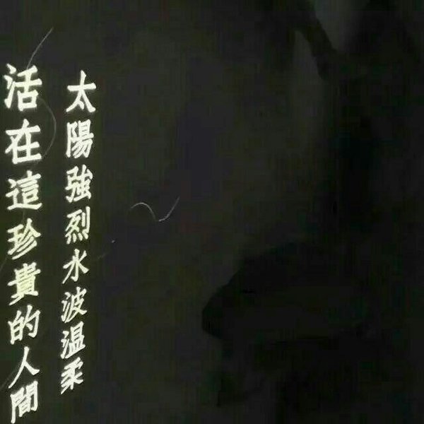 喜欢你的人好像从来都不忙