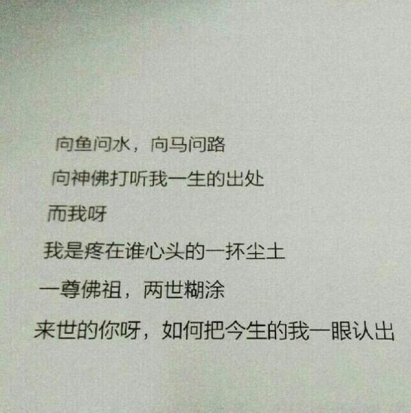 我已经忘了 梦还记得 梦不识时务