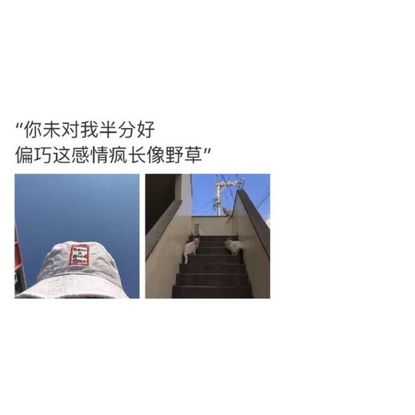 唯美图片，文字图片,情侣图片qqqqp