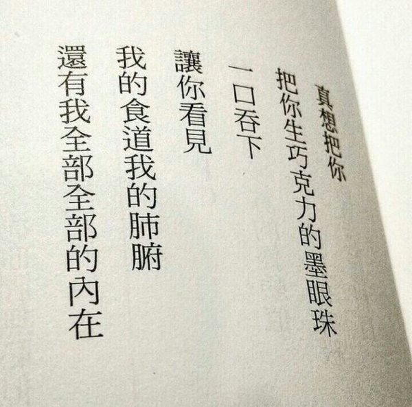 我赌了整个青春