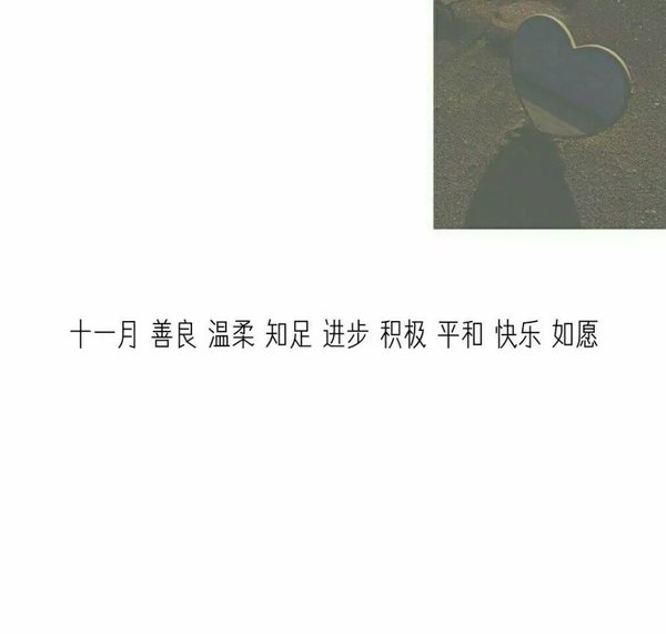 我藏了会受伤的想 也忘了会散场的光