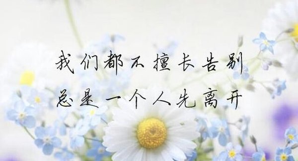 唯美图片，文字图片,情侣图片qqqqp